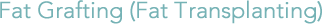 Fat Grafting (Fat Transplanting)