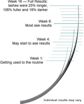 Timeline